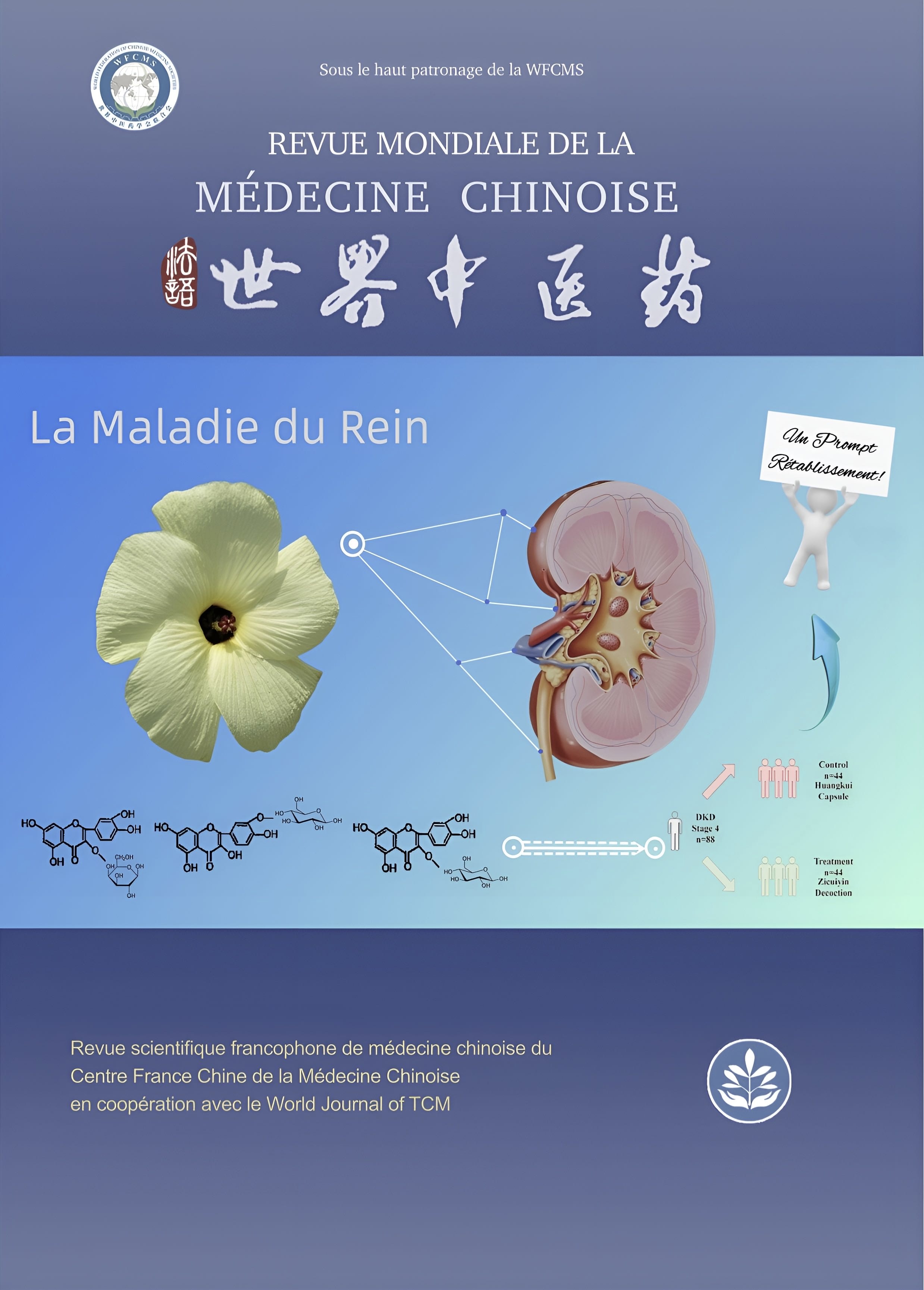 					Afficher Vol. 2 No 001 (2023): Les Maladies du Rein
				